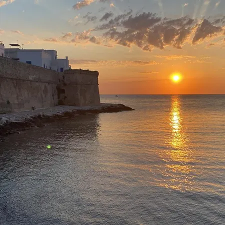 아파트 A Chese De Menople By Sthey